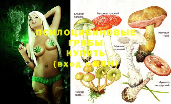 ECSTASY Гусиноозёрск