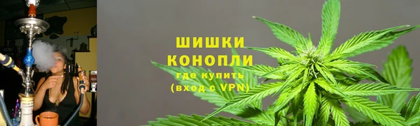 не бодяженный Гусев