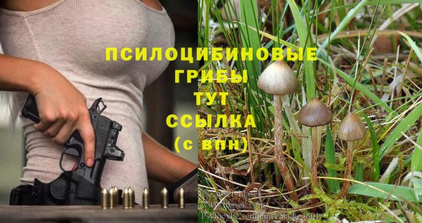 стафф Гусь-Хрустальный