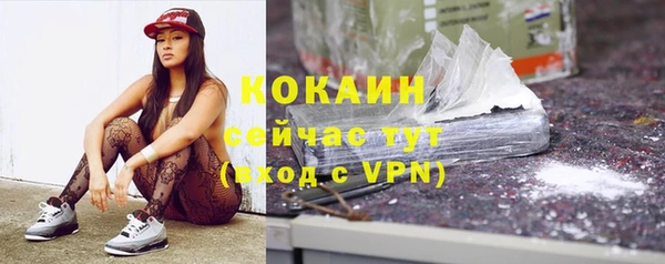 стафф Гусь-Хрустальный