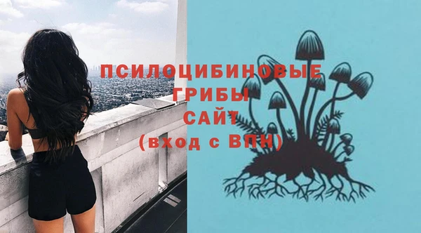не бодяженный Гусев